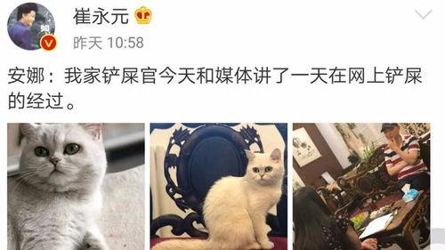 范冰冰偷税揭露娱乐圈,范冰冰偷税事件引发的行业震荡