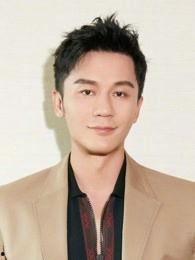 李晨 明星,从阳光少年到实力派演员的蜕变之路
