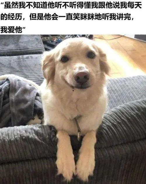 步入中年搞笑图片