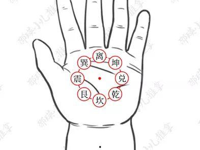 大拇指上有八卦螺纹