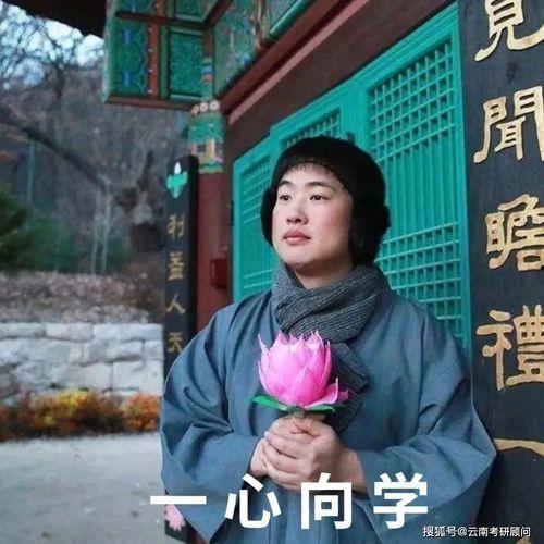 杨迪狗表情包,萌态百出，笑点连连